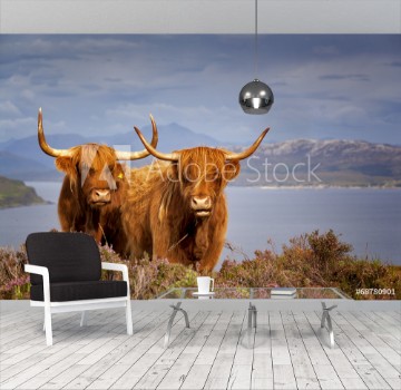 Picture of Scottish Cow IV